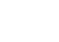 White megaphone icon